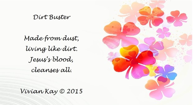 Dirt Buster